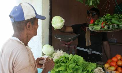 Organopónico Vitaminas Verdes, una nueva oportunidad