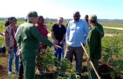 En la agricultura de Cuba debemos hacer mucho más, dijo el miembro del Buró Político del Comité Central del Partido Esteban Lazo Hernández