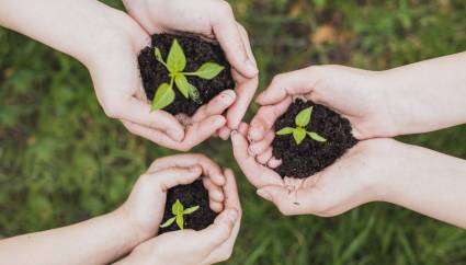 Potenciar la biodiversidad como respuesta ante el cambio climático