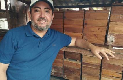 Premio Internacional para cubanos productores de abejas meliponas