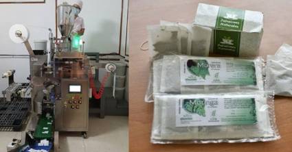 Darán  vida a una línea de producción dedicada a infusiones naturales a partir de plantas como moringa, flor de Jamaica y jengibre