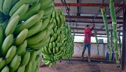La Cuba da pasos seguros hacia la recuperación