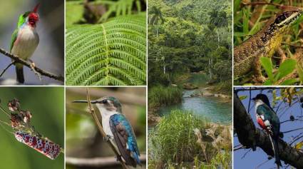 Cover de Noticia kqiBVn_07-09-2025_22.09.09.000000.jpg