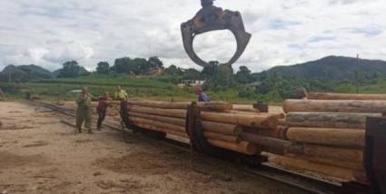 Agroforestales en acción