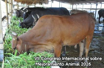 Por una ganadería con ciencia