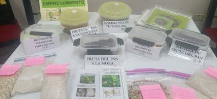 Árbol del pan, entre ciencia y perspectivas