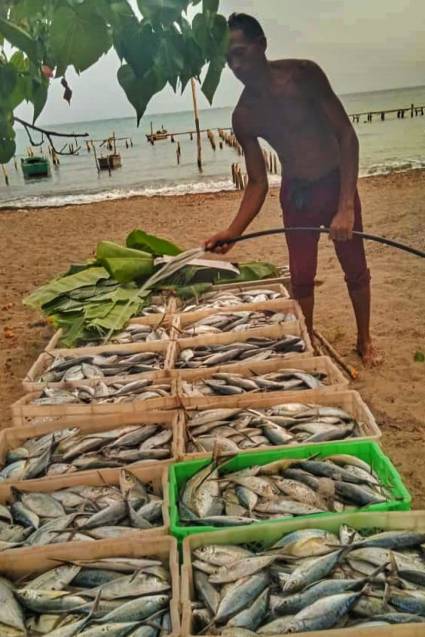 Pesca, raíces y compromiso social en Guamá