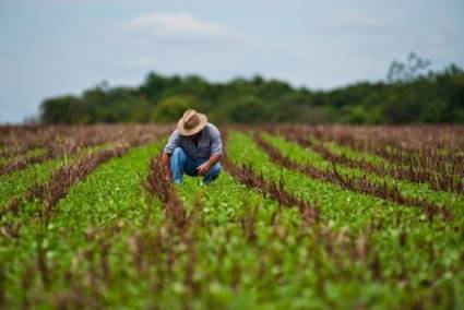 Transformaciones necesarias para mayor producción