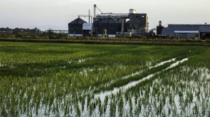 Premian investigaciones en ciencias agrarias y de la pesca