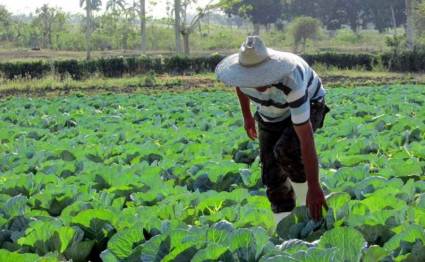 Cuba aprueba nuevas normas para las cooperativas
