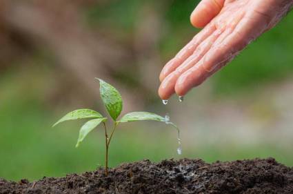 Inicia Cuba transición hacia nueva versión de norma de gestión ambiental