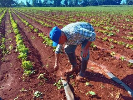 Proyecto Salva refuerza capacidades productivas en Cuba